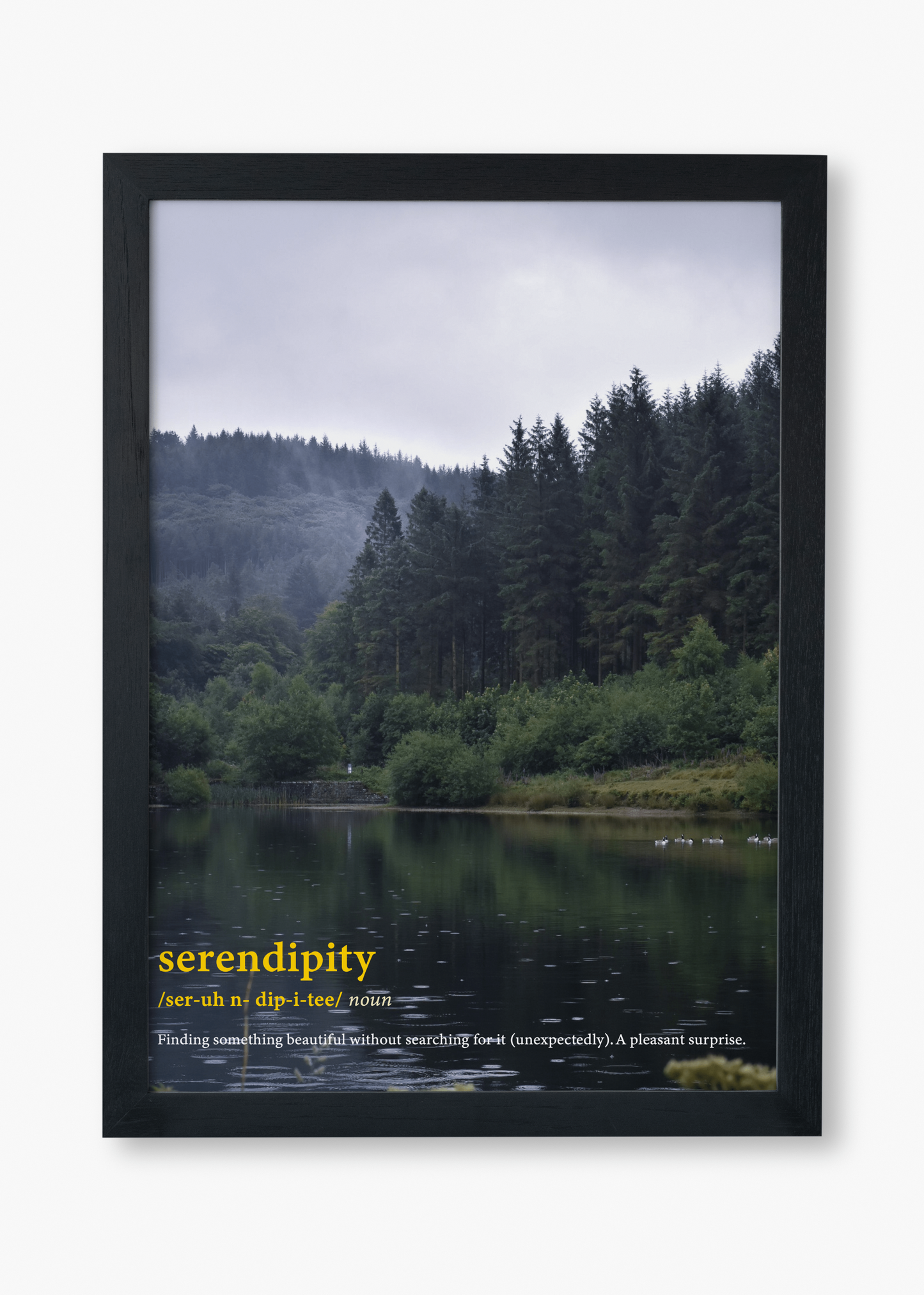 Serendipity word definition poster. This photography print shows the trees in the forest towering the lake. Serendipity (noun). Finding something beautiful without searching for it (unexpectedly). A pleasant surprise.