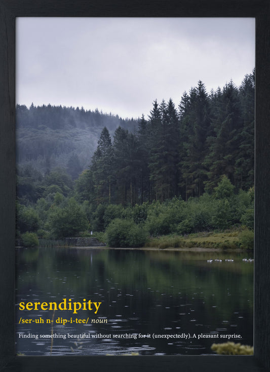 Serendipity word definition poster. This photography print shows the trees in the forest towering the lake. Serendipity (noun). Finding something beautiful without searching for it (unexpectedly). A pleasant surprise.