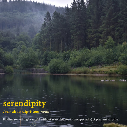 Serendipity word definition poster. This photography print shows the trees in the forest towering the lake. Serendipity (noun). Finding something beautiful without searching for it (unexpectedly). A pleasant surprise.