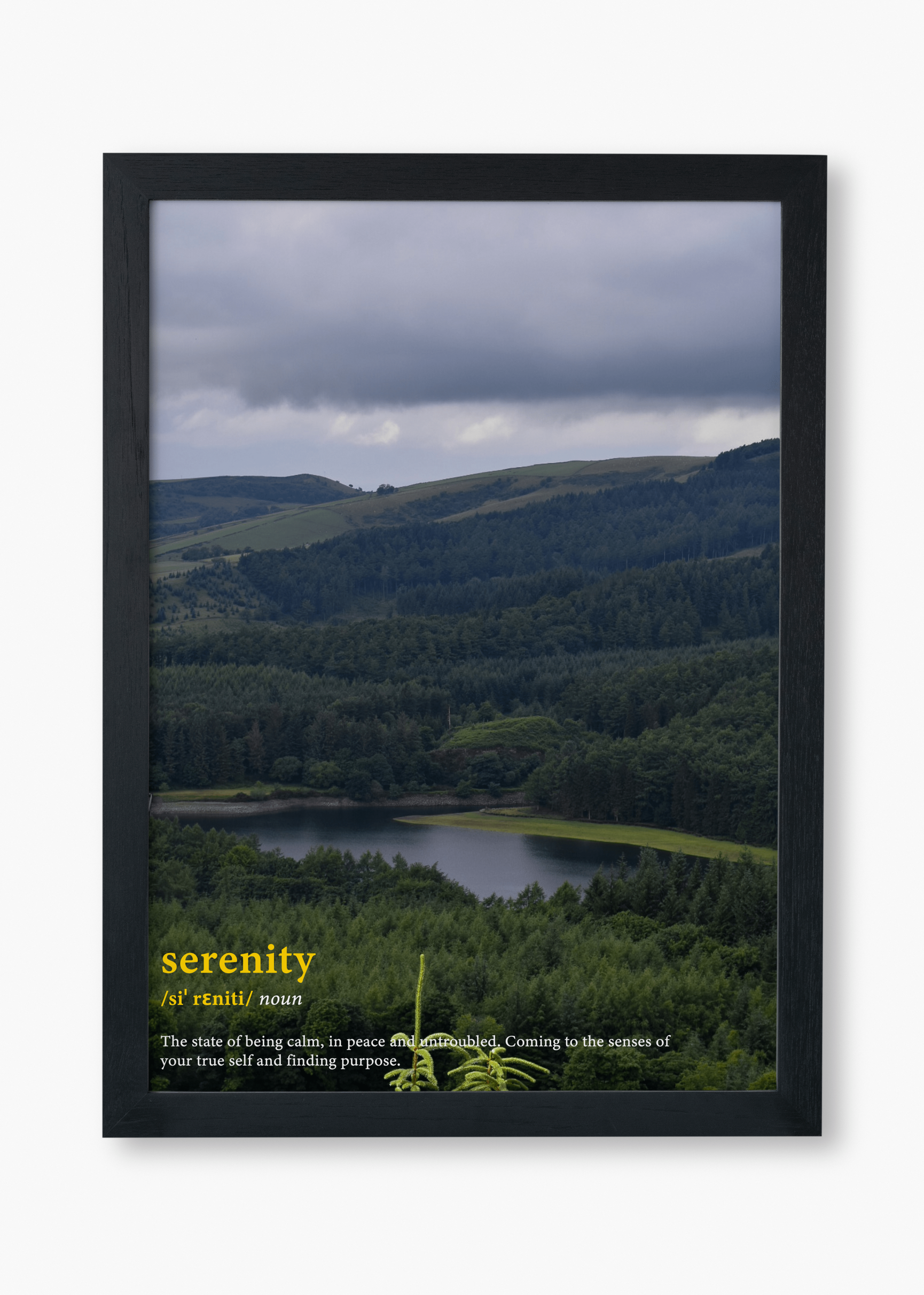 Serenity word definition poster. This photography print looks over a forest and the river with a sea of trees in the distance stretching across the hills. Serenity (noun). The state of being calm, in peace and untroubled. Coming to the senses of your true self and finding purpose.