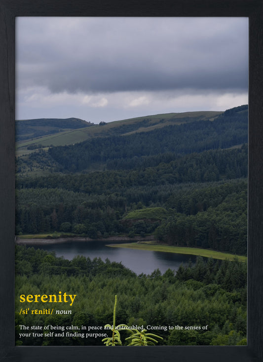 Serenity word definition poster. This photography print looks over a forest and the river with a sea of trees in the distance stretching across the hills. Serenity (noun). The state of being calm, in peace and untroubled. Coming to the senses of your true self and finding purpose.