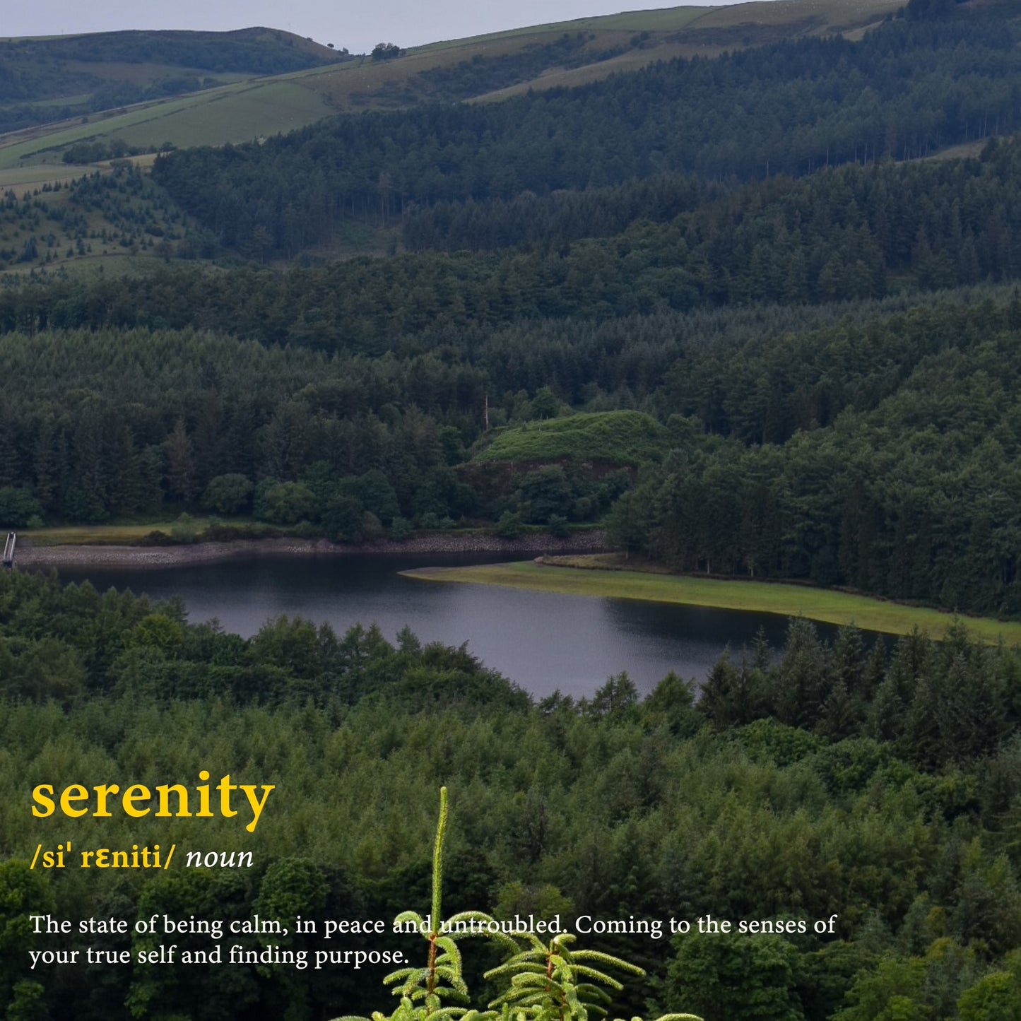 Serenity word definition poster. This photography print looks over a forest and the river with a sea of trees in the distance stretching across the hills. Serenity (noun). The state of being calm, in peace and untroubled. Coming to the senses of your true self and finding purpose.